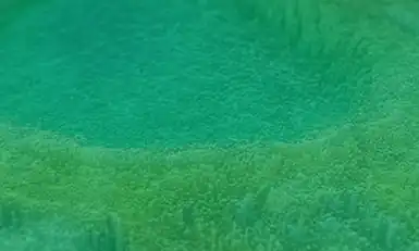 Reservoir Simulation, USA 2026